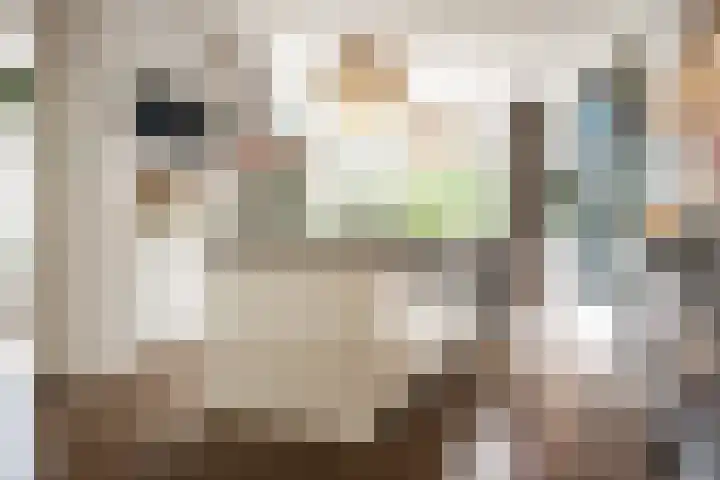 Vondelkade 2 Heemstede thumbnail 23
