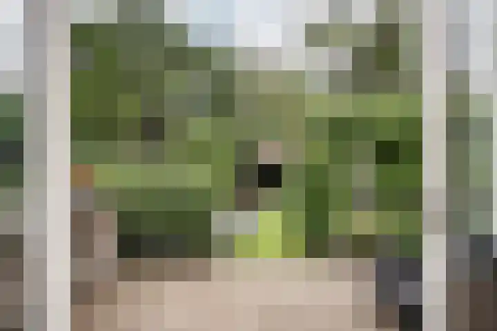 Vondelkade 2 Heemstede thumbnail 27