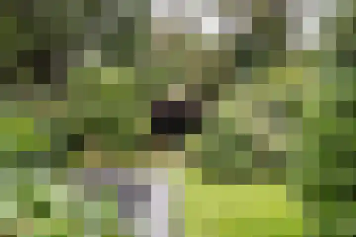 Vondelkade 2 Heemstede thumbnail 31