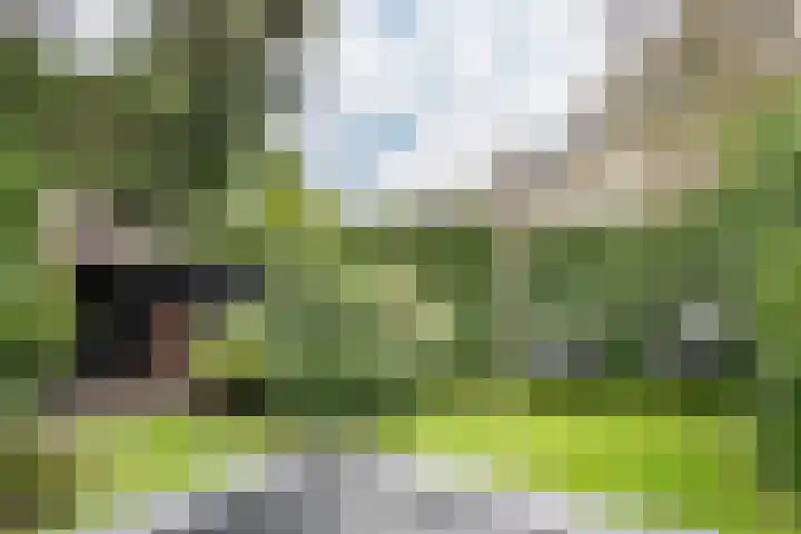 Vondelkade 2 Heemstede thumbnail 32