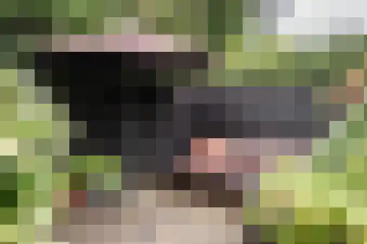 Vondelkade 2 Heemstede thumbnail 33