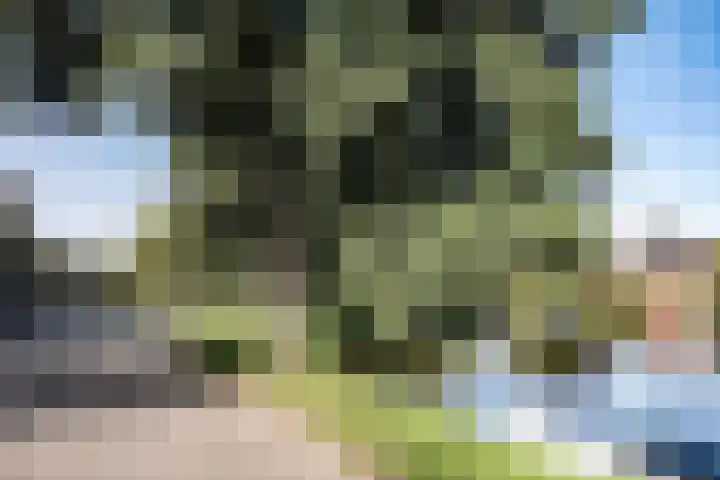 Vondelkade 2 Heemstede thumbnail 60