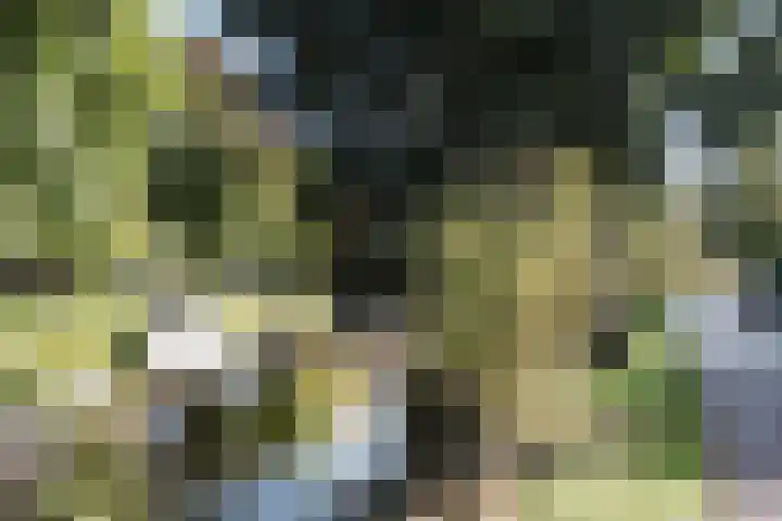 Vondelkade 2 Heemstede thumbnail 62