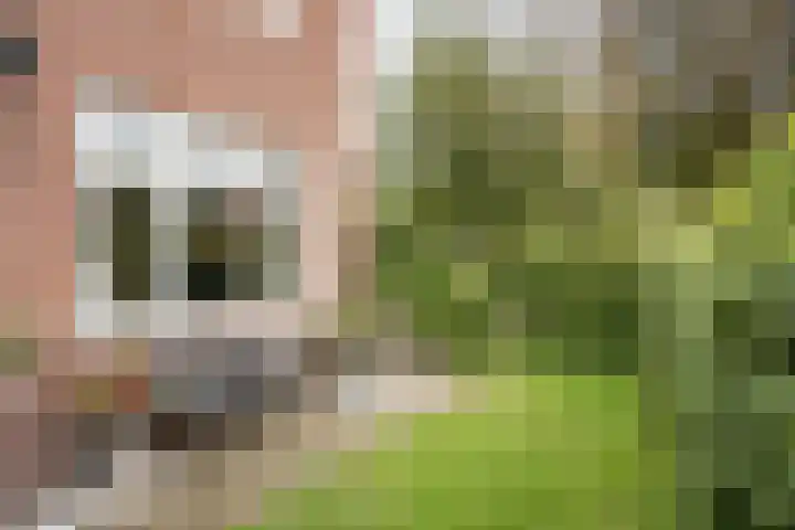 Vondelkade 2 Heemstede thumbnail 7