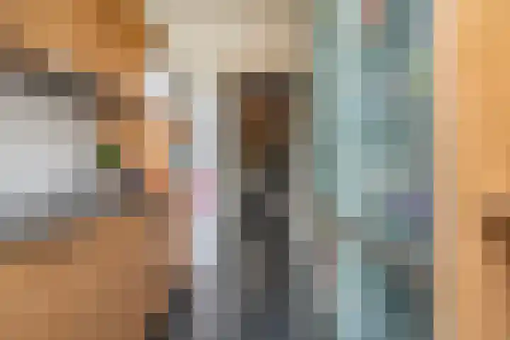 Vondelkade 24 Zwolle thumbnail 13