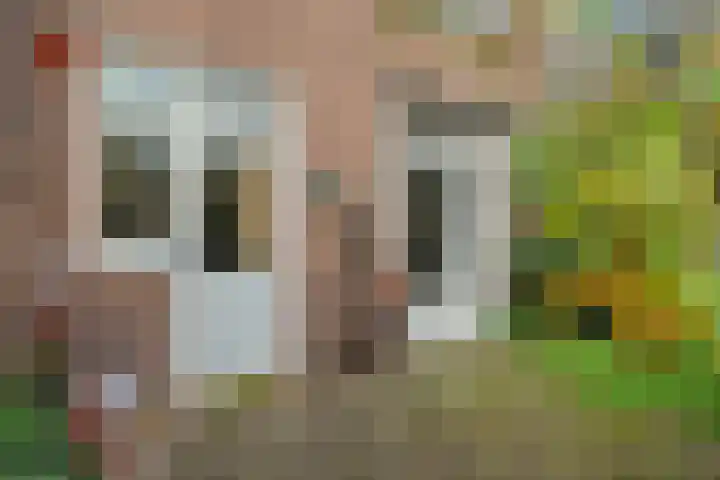 Vondelkade 24 Zwolle thumbnail 28