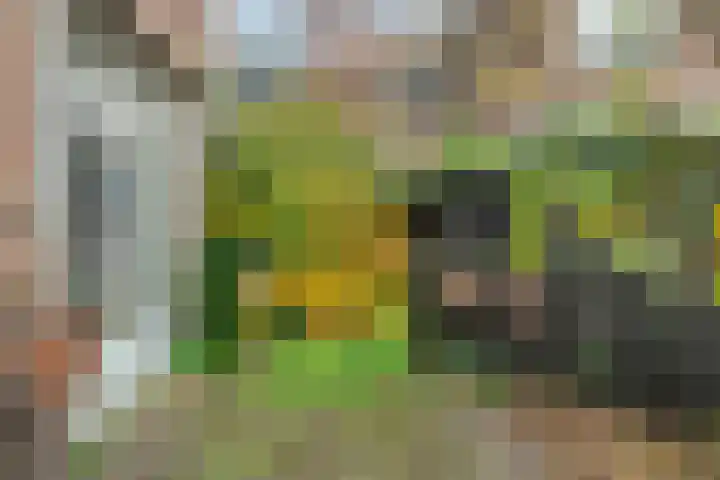 Vondelkade 24 Zwolle thumbnail 29
