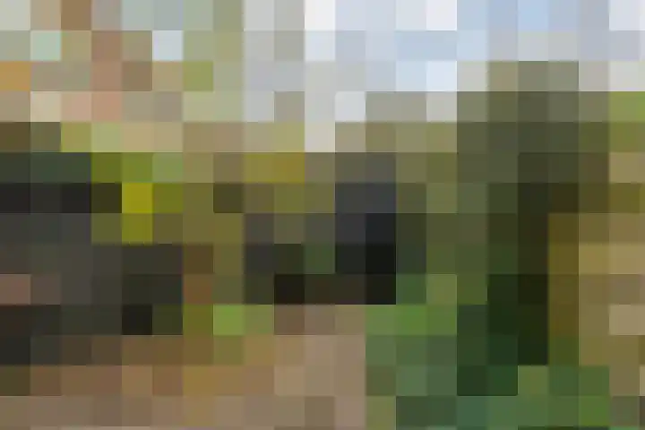 Vondelkade 24 Zwolle thumbnail 30
