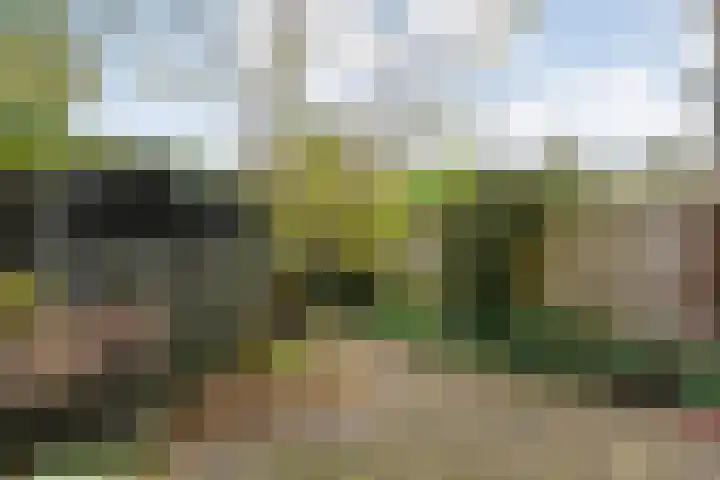 Vondelkade 24 Zwolle thumbnail 31