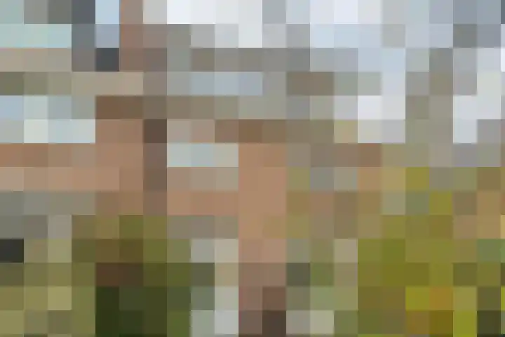 Vondelkade 24 Zwolle thumbnail 32