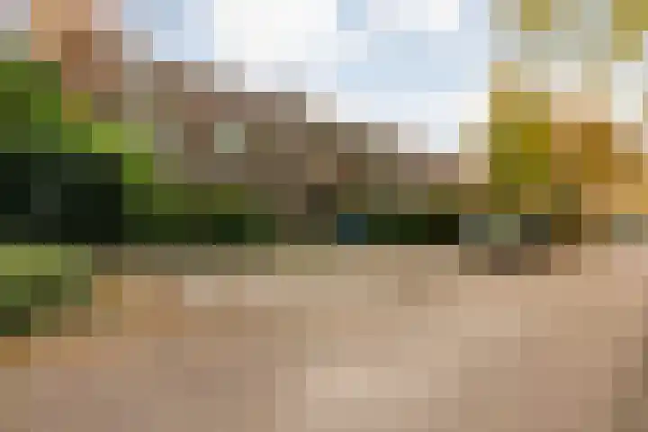 Vondelkade 24 Zwolle thumbnail 33