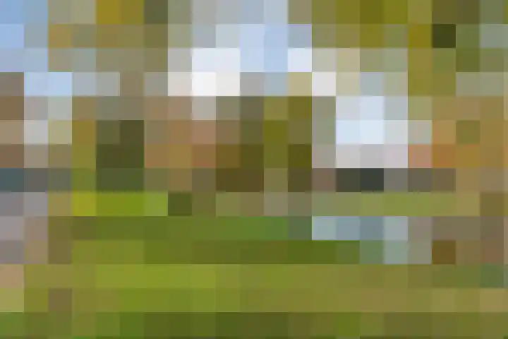 Vondelkade 24 Zwolle thumbnail 35