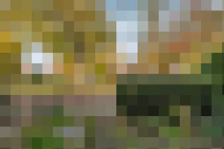 Vondelkade 24 Zwolle thumbnail 36