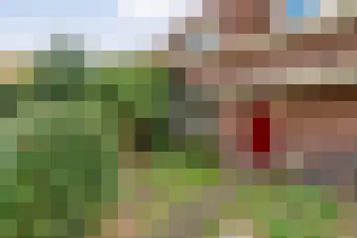 Vondelkade 24 Zwolle thumbnail 4