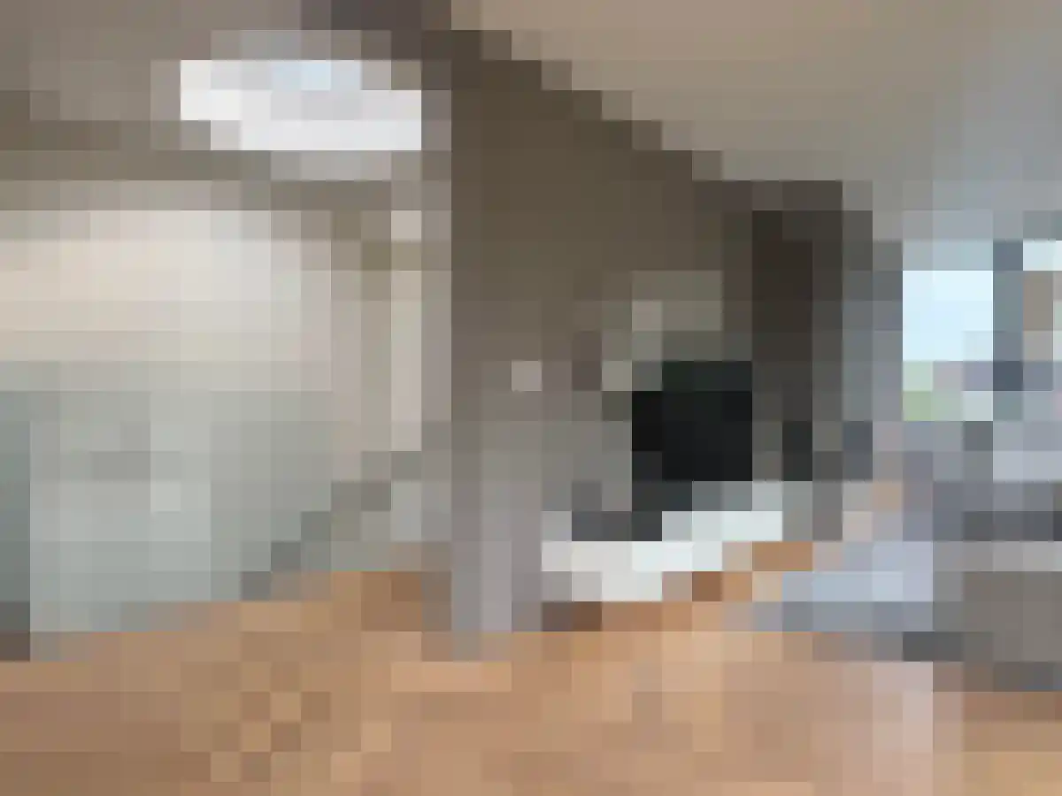 Vondelkerkstraat 33 Amsterdam thumbnail 4