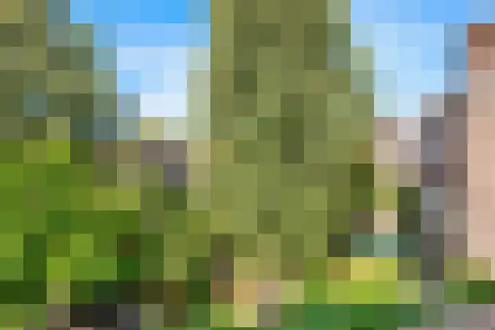 Vondellaan 1 BSA Utrecht thumbnail 12