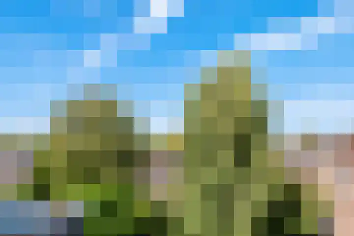 Vondellaan 1 BSA Utrecht thumbnail 31