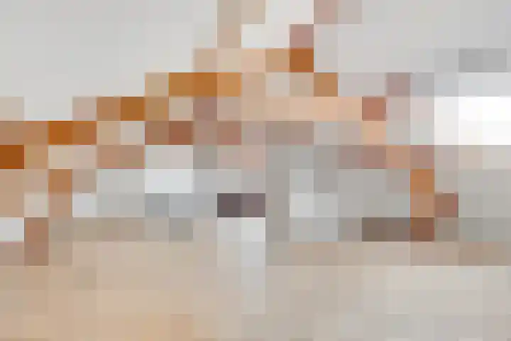 Vondellaan 1 BSA Utrecht thumbnail 33