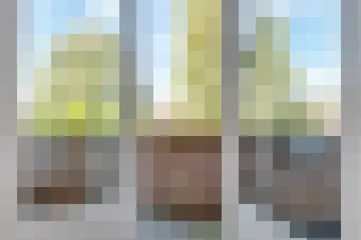 Vondellaan 1 BSA Utrecht thumbnail 9