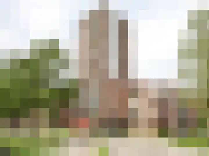 Vondellaan 1 Ridderkerk