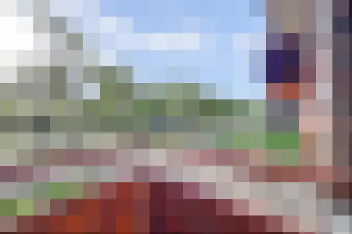 Vondellaan 1 Ridderkerk thumbnail 17