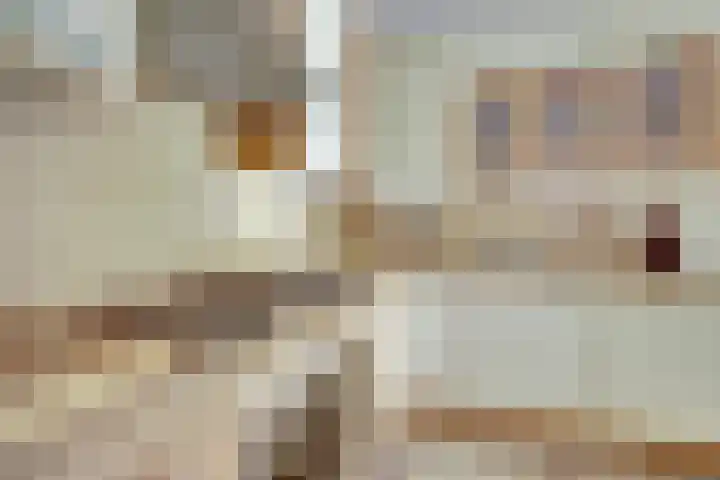 Vondellaan 1 Ridderkerk thumbnail 20