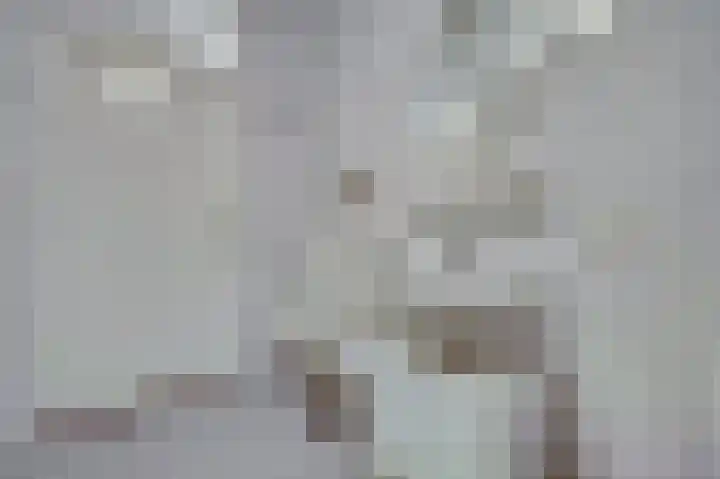 Vondellaan 1 Ridderkerk thumbnail 27