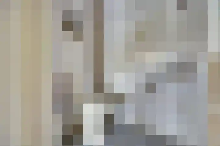 Vondellaan 1 Ridderkerk thumbnail 30