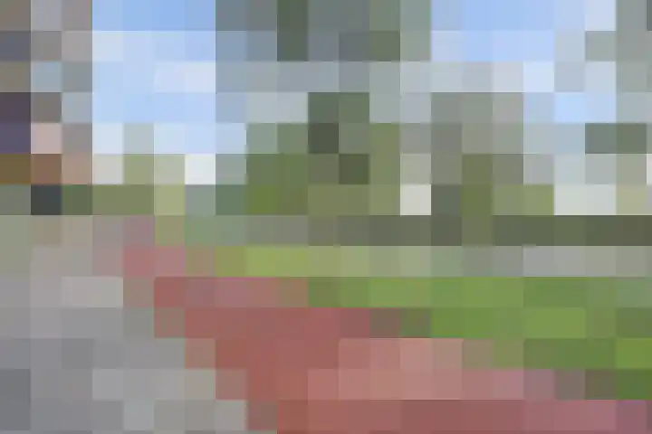Vondellaan 1 Ridderkerk thumbnail 4