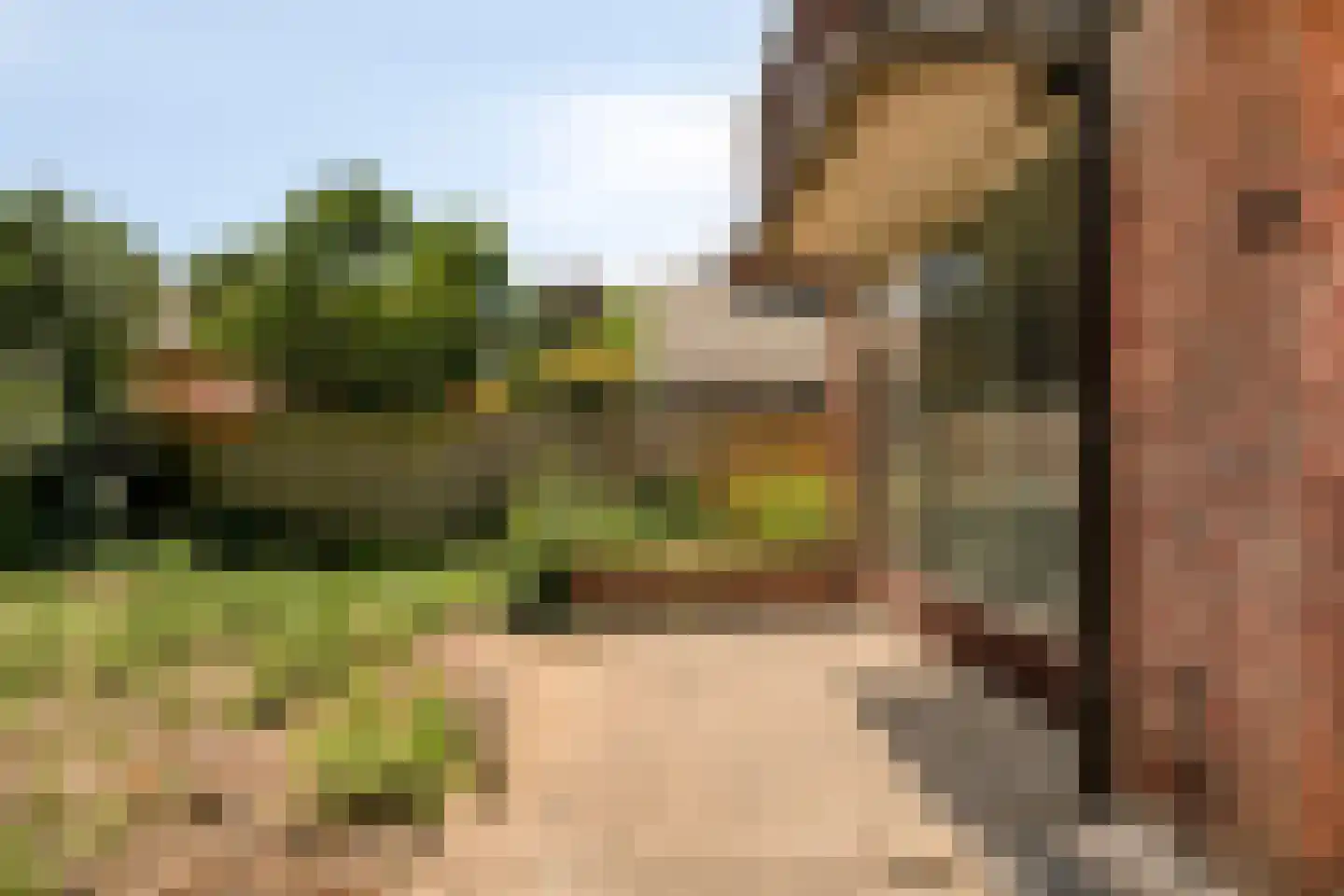 Vondellaan 10 Eerbeek thumbnail 21