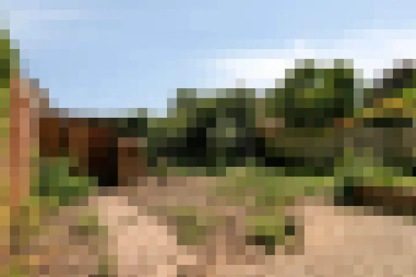 Vondellaan 10 Eerbeek thumbnail 22