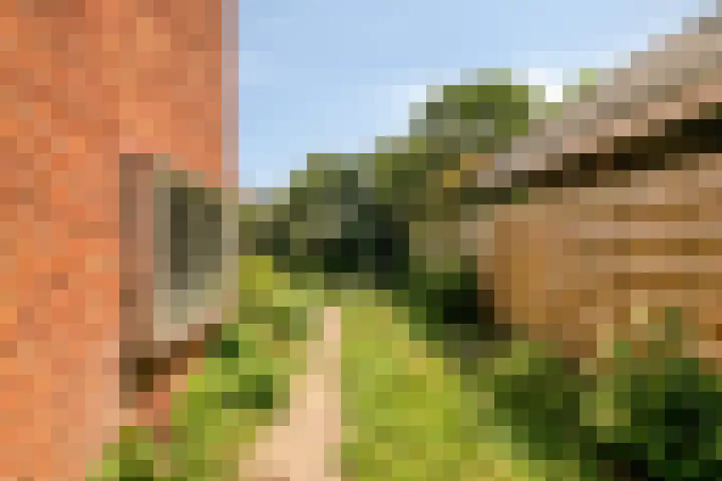 Vondellaan 10 Eerbeek thumbnail 24