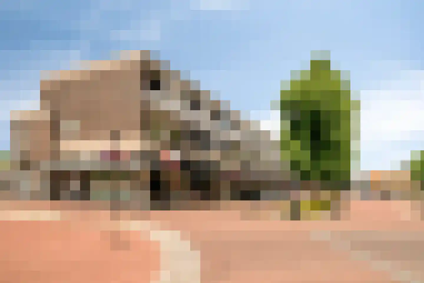 Vondellaan 10 Eerbeek thumbnail 25