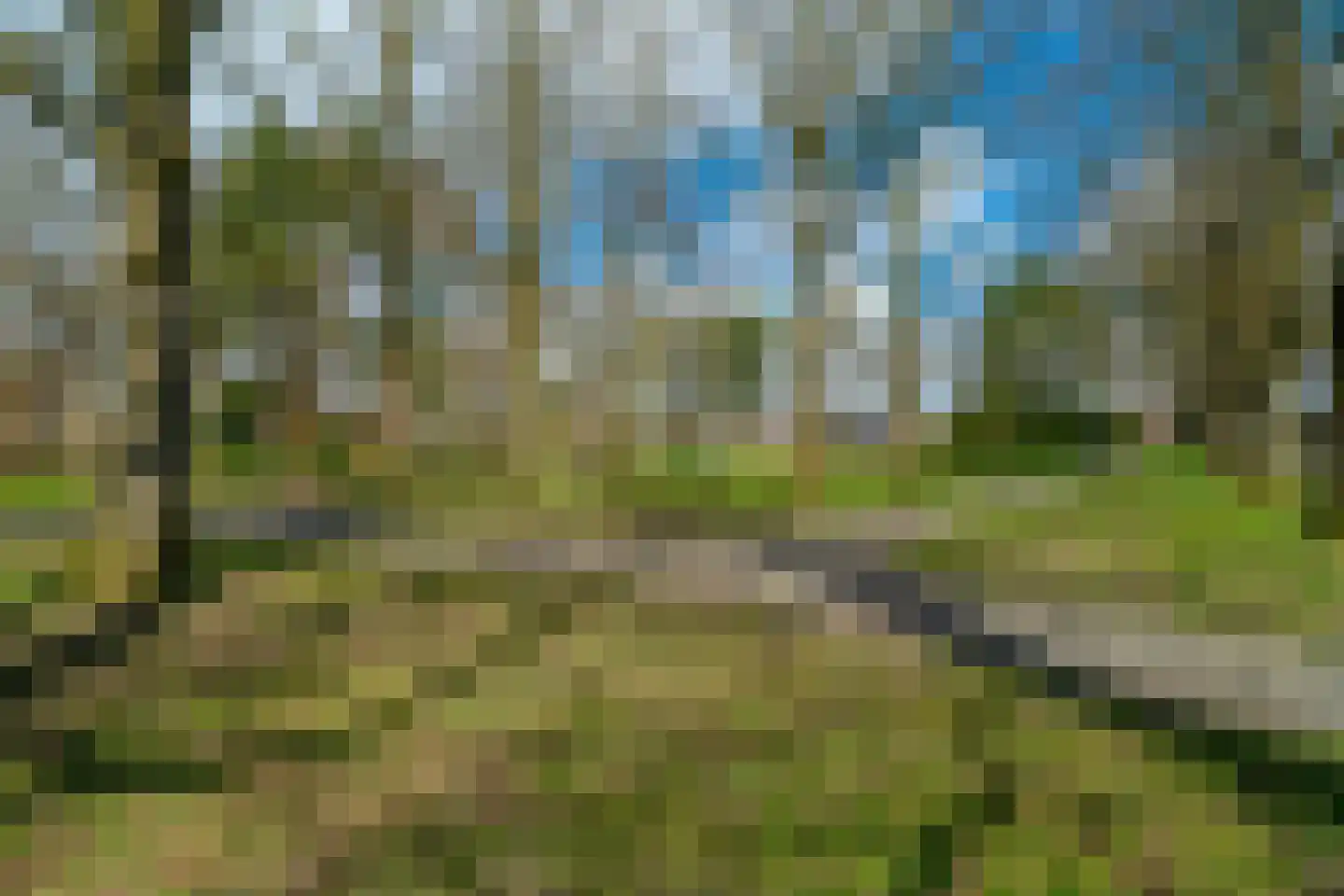 Vondellaan 10 Haren Gn thumbnail 41