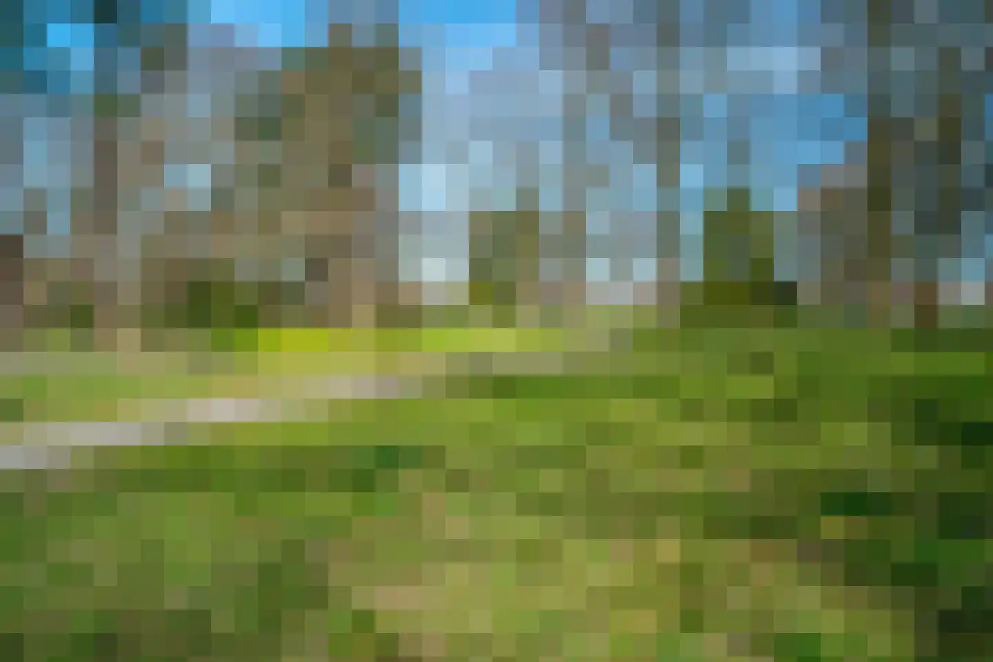 Vondellaan 10 Haren Gn thumbnail 5