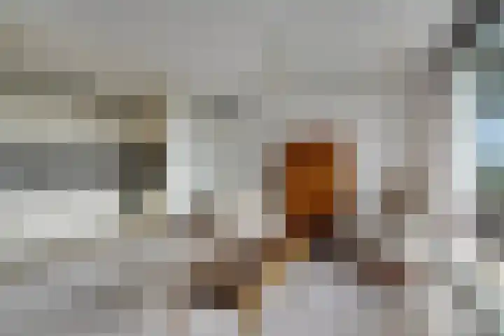 Vondellaan 101 Ridderkerk thumbnail 12