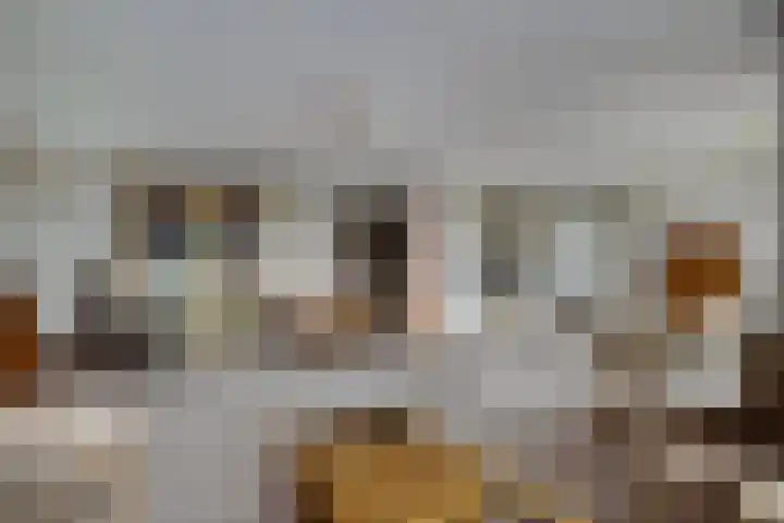Vondellaan 101 Ridderkerk thumbnail 13