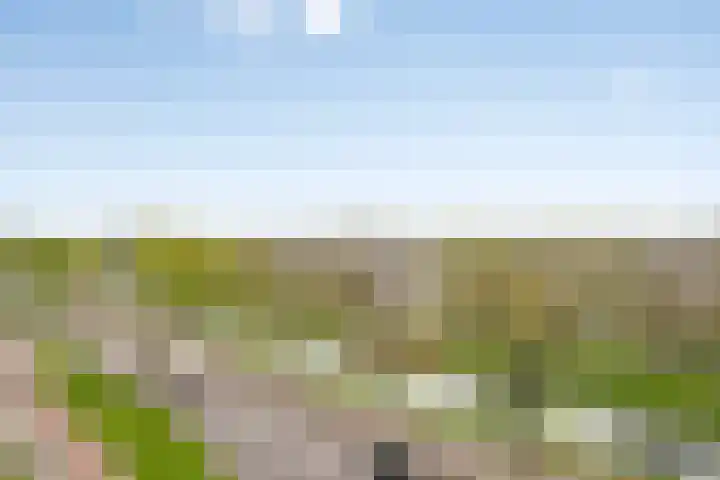 Vondellaan 101 Ridderkerk thumbnail 23