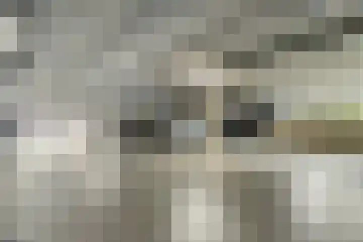 Vondellaan 101 Ridderkerk thumbnail 26