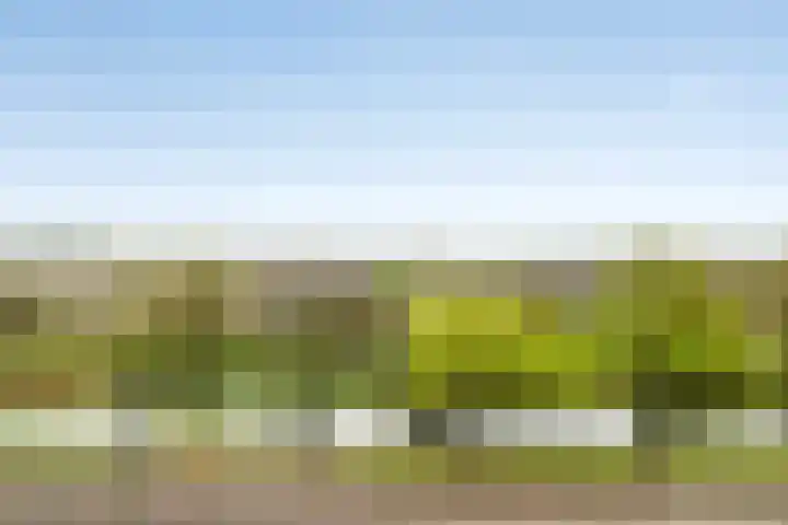 Vondellaan 101 Ridderkerk thumbnail 28