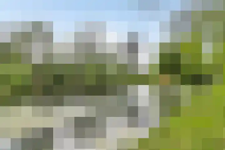 Vondellaan 101 Ridderkerk thumbnail 29