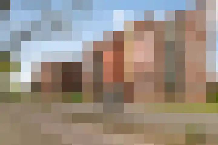 Vondellaan 101 Ridderkerk thumbnail 32