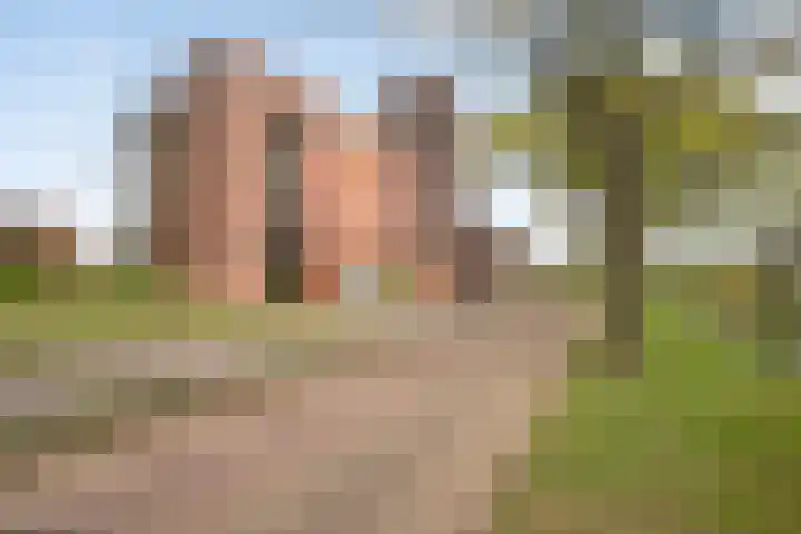 Vondellaan 101 Ridderkerk thumbnail 5