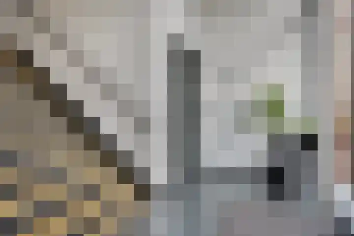 Vondellaan 101 Ridderkerk thumbnail 8