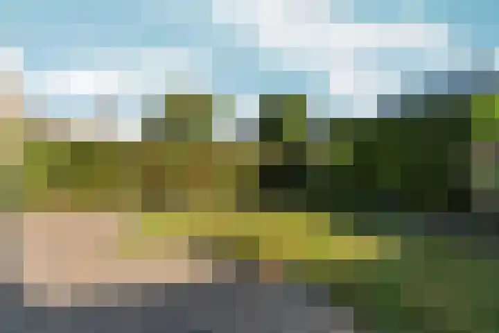 Vondellaan 101 Zevenaar thumbnail 40