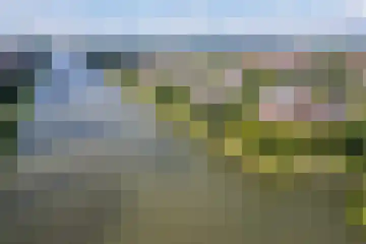 Vondellaan 101 Zevenaar thumbnail 41