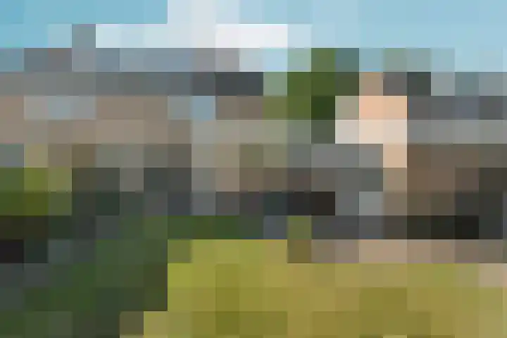 Vondellaan 101 Zevenaar thumbnail 41