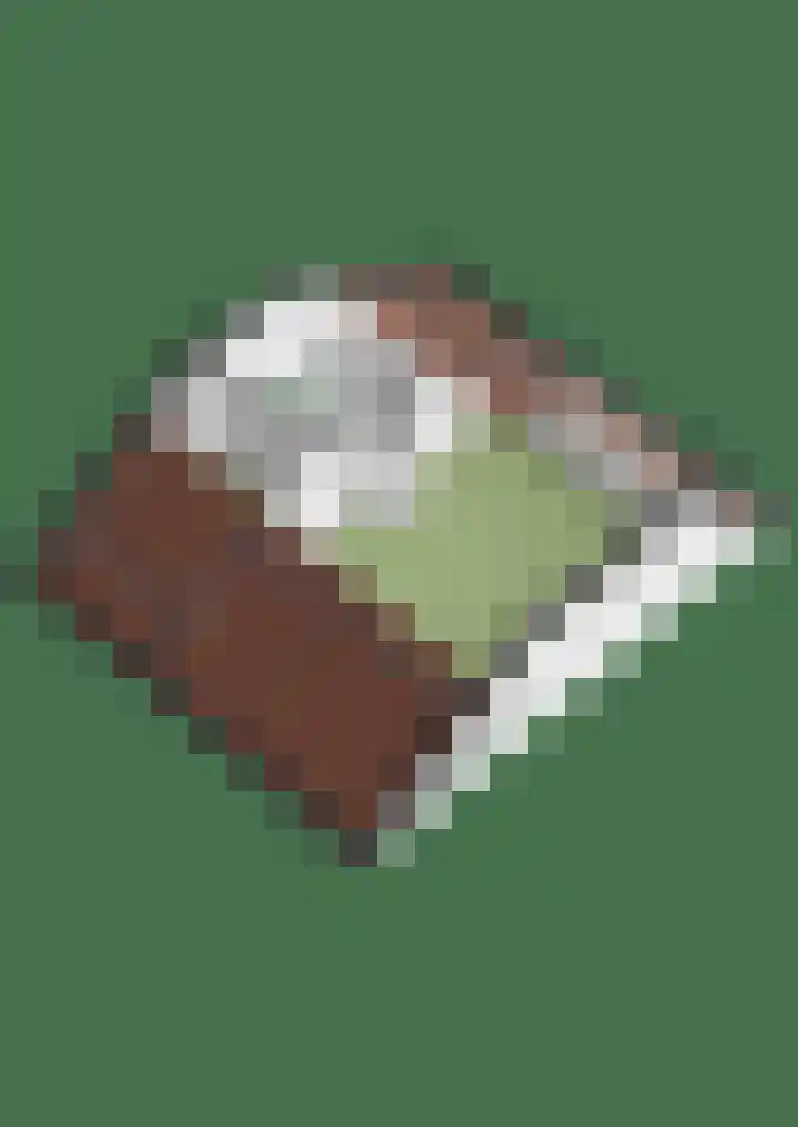 Vondellaan 101 Zevenaar thumbnail 49