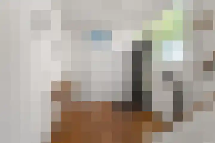 Vondellaan 101 Zevenaar thumbnail 7