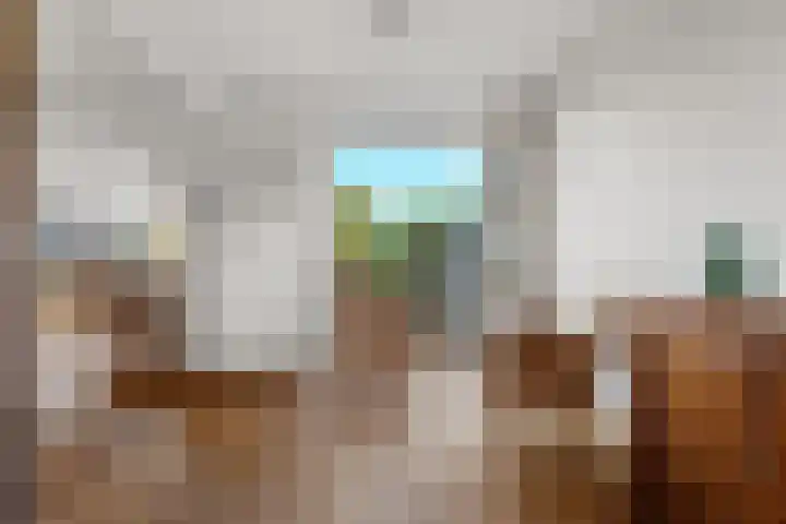 Vondellaan 101 Zevenaar thumbnail 9